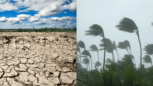 El Niño pode ser o mais forte da história e aumentar extremos climáticos no mundo