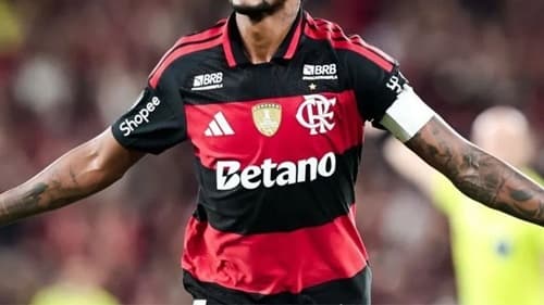 Flamengo estima perda de até R$ 430 milhões com fim das bets