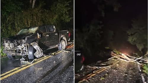 Árvore caída na BA-130 causa acidente e destrói frente de caminhonete em Itagi