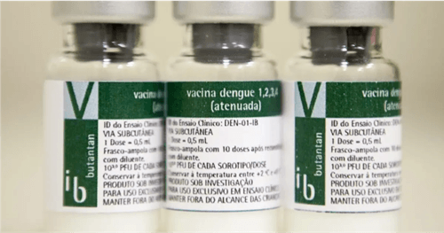 Vacina da dengue do Butantan tem eficácia geral de 79,6%, semelhante à Qdenga, mostra estudo