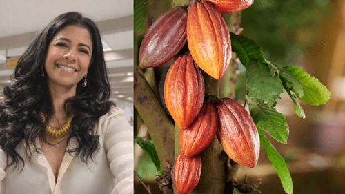 Associação de produtores de cacau questiona valores pagos e critica aplicação de deságio