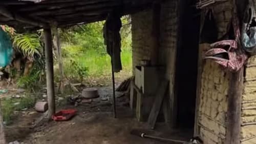 Trabalhadores são resgatados de condições análogas à escravidão em fazenda de piaçava na Bahia