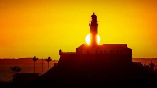Brasil registra temperatura média de 25,02°C em 2024, superando recorde histórico